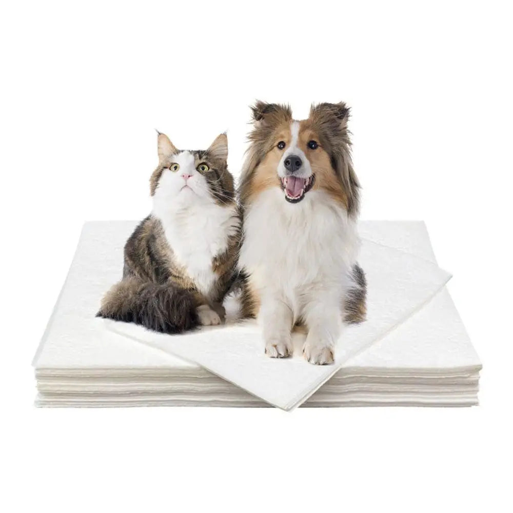 Papel Toalha Pet Ultra Absorvente para xixi | AbsorbPet Max® - 50 Unidades