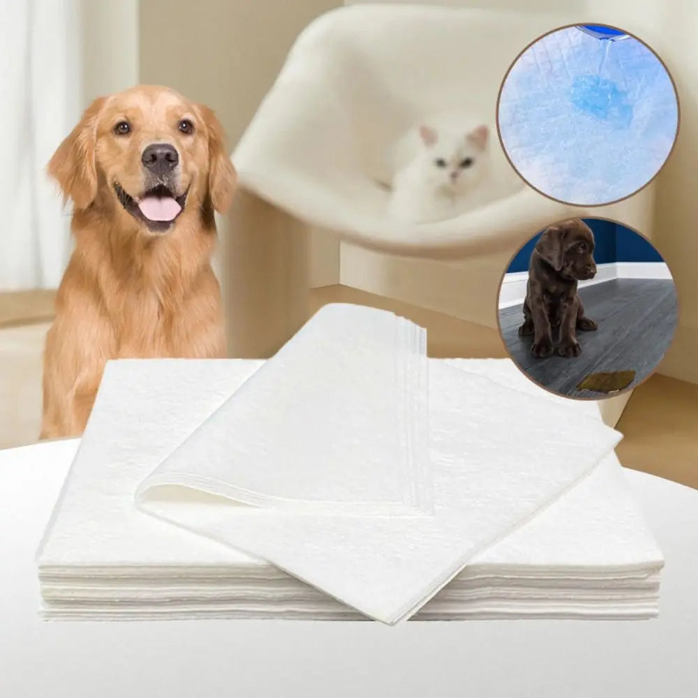 Papel Toalha Pet Ultra Absorvente para xixi | AbsorbPet Max® - 50 Unidades