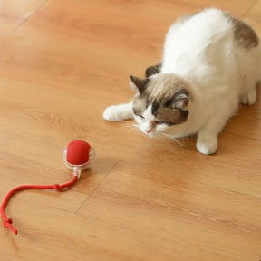 Bolinha interativa para gatos | FelineBall® - Brinquedo Interativo para gatos e Pets