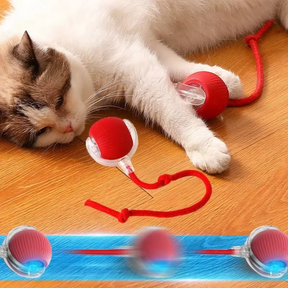 Bolinha interativa para gatos | FelineBall® - Brinquedo Interativo para gatos e Pets